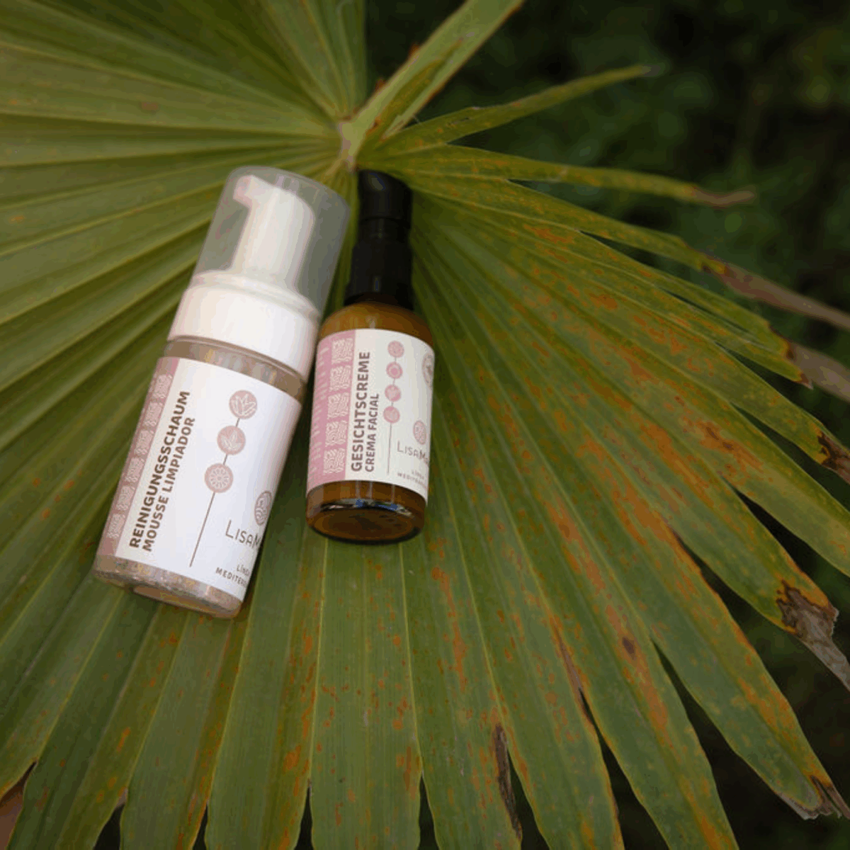 Set Sanfte Reinigung & Pflege für strahlende Haut – Porentiefe Reinigung & Anti-Aging Pflege - Image 4