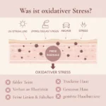 Bio Gesichtscreme – Anti-Aging mit Hyaluronsäure – Feuchtigkeitspflege für trockene & empfindliche Haut – Bild 5