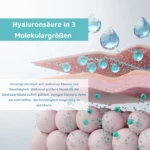 Set Gesichtscreme & Serum – Feuchtigkeit & Pflege für strahlende Haut – Mit Hyaluron & Aloe Vera – Bild 6