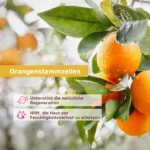 Set Gesichtscreme & Serum – Feuchtigkeit & Pflege für strahlende Haut – Mit Hyaluron & Aloe Vera – Bild 7