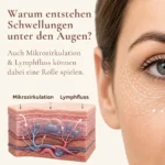 Augencreme gegen Augenschwellungen und Augenringe inkl. Gua Sha Pils GRATIS – Bild 4